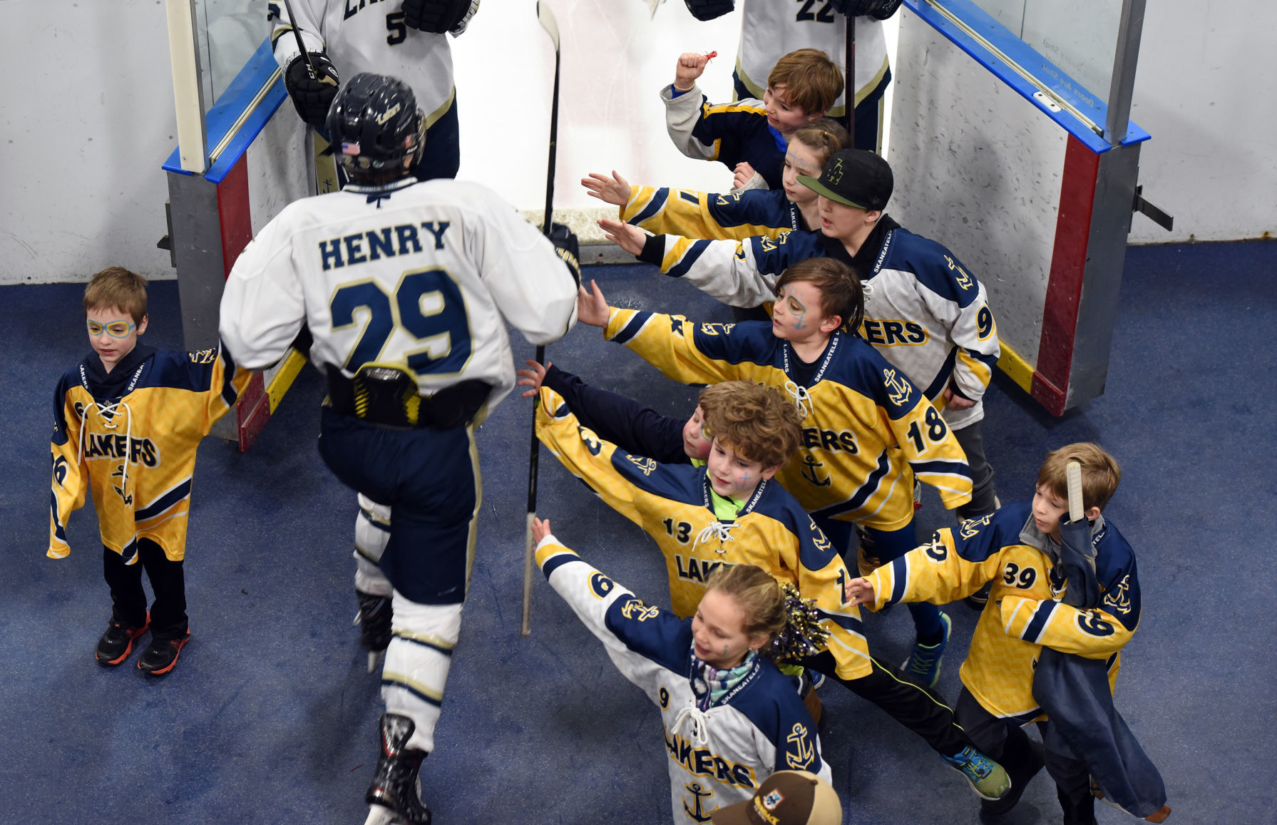 Skaneateles Grand Island 5.JPG